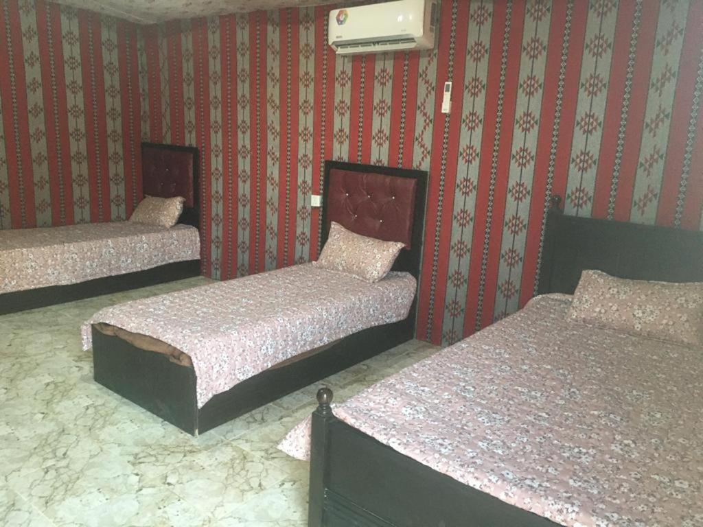 Oryx Camp Hotel Wadi Rum Eksteriør billede