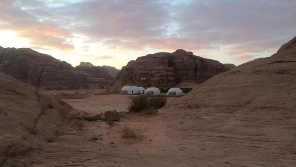 Oryx Camp Hotel Wadi Rum Eksteriør billede